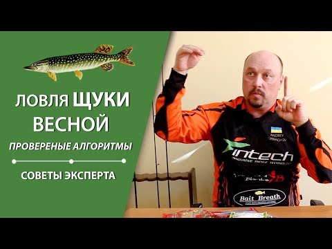 Видео: Ловля щуки весной, проверенные алгоритмы | Советы эксперта