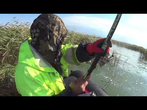 Видео: Рыбалка на судака пошла не по плану! оз.Чаны!