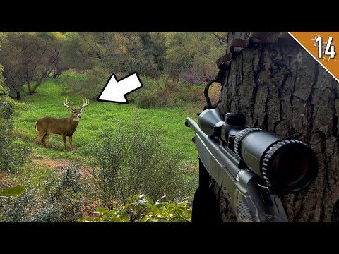 Видео: Олени повсюду!!! - (День открытия сезона охоты на оленей в Айове)