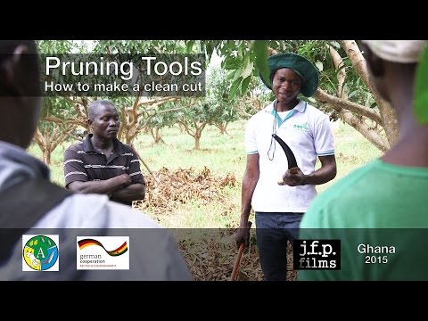 Видео: Инструменты для обрезки — как сделать чистый срез