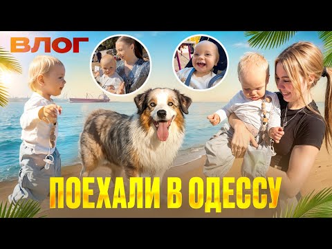 Видео: Я в 18 ЛЕТ САМА СПРАВЛЯЮСЬ с СЫНОМ и СОБАКАМИ, НАШЕ ТРЕШ ПУТЕШЕСТВИЕ!!!