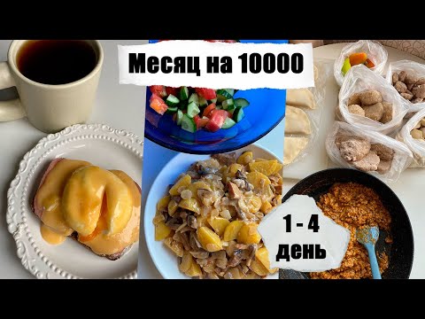 Видео: Месяц на 10000₽. День 1 - 2 - 3 - 4. Заготовки в морозилку из 2 кг фарша. Простые рецепты.
