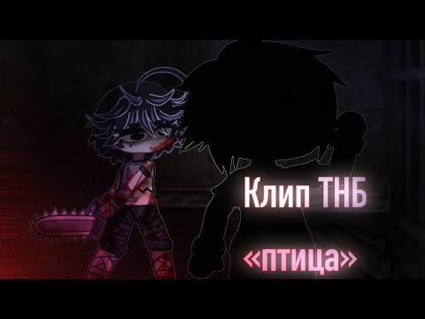 Видео: ☕️Клип {Gacha club} твоё нежное безумие - «птица»🚬