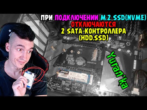 Видео: При подключении M.2 SSD(NVME) отключаются 2 SATA-контроллера(HDD,SSD)\PCI-слот(Видеокарта)