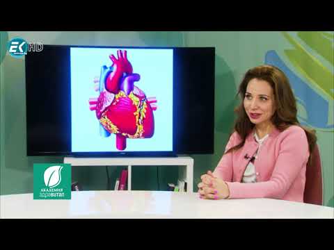 Видео: Др Райна Стоянова, ендокринолог, диетолог: Хранителен режим и профилактика на сърдечносъдови болести