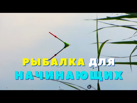 Видео: ЛОВЛЯ На УДОЧКУ! Рыбалка на УДОЧКУ Для Начинающих!