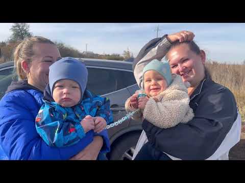 Видео: Шиндяевы: купила гортензии/ делаем тепличку
