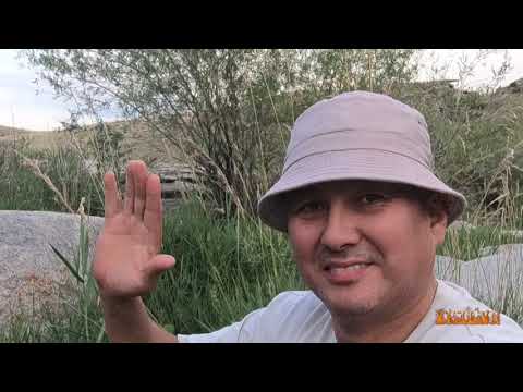 Видео: На что ловить Османа?......