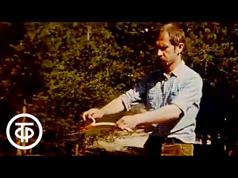 Видео: Экспедиция в ХХI век. Таинственные пришельцы (1988)