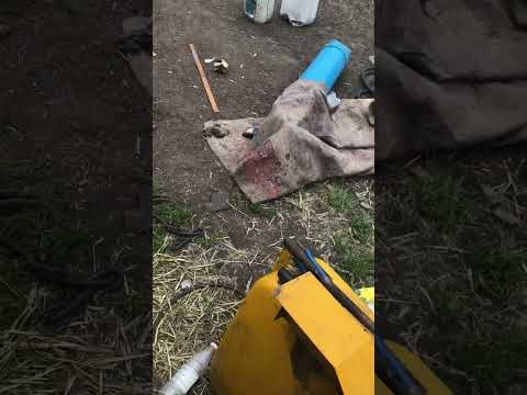 Видео: Установка варятора на Сампо 680