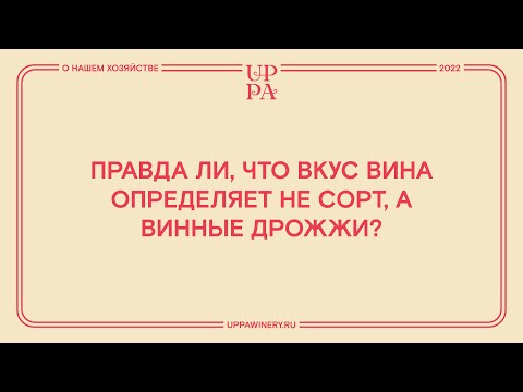 Видео: Правда ли, что вкус вина определяет не сорт, а винные дрожжи?