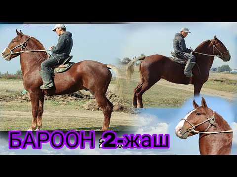 Видео: Мой мальчик выздоровел 1000🔥🔥