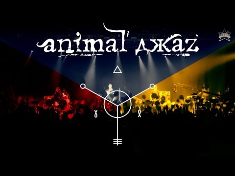 Видео: Animal ДжаZ - live @ Ray Just Arena (19.04.2015) - ALL STAR TV 2015