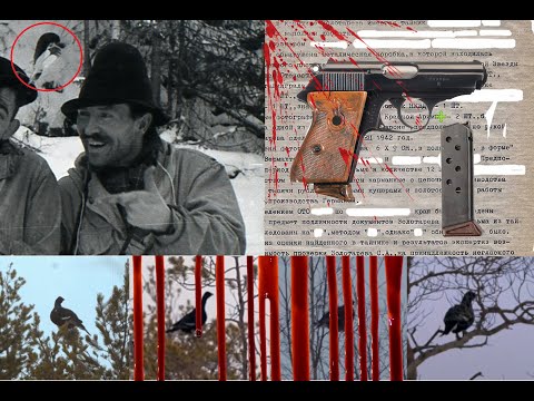 Видео: Перевал Дятлова. Темпалов о гибели ГД в пьяном конфликте, часть ружья и пистолет на фото из похода..