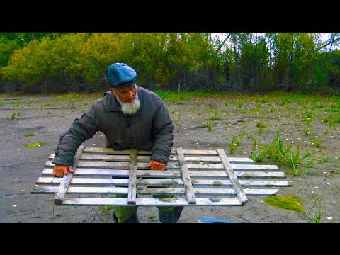 Видео: С дядей Толей по Арге. Хорошо в Тайге! Ч.4.7, сходили на озеро, у костра. Видео 4К
