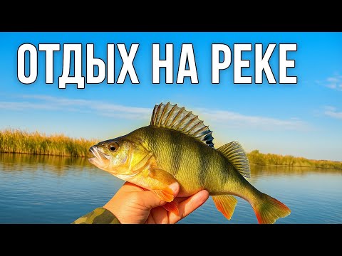 Видео: ВДАЛИ ОТ ГОРОДСКОЙ СУЕТЫ #андрей_целиноград #рыбалка #природа 
