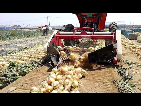 Видео: Самая Прогрессивная Сельхозтехника на Сегодня