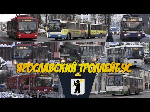 Видео: Ярославские троллейбусы 2023: гармошки, Авангарды, Мегаполисы, Оптимы, ЗиУ и многое другое!