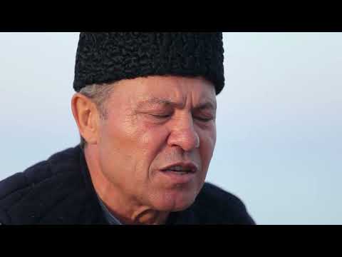 Видео: Пётр Петкович - Yolum