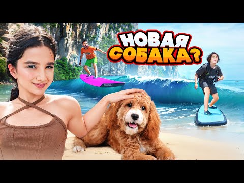 Видео: АМИНА ПРОСИТ НОВУЮ СОБАКУ 🤯 НАУЧИЛИСЬ СЕРФИТЬ 🤩 НОВЫЙ ОТЕЛЬ!!! VLOG