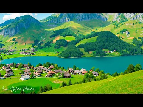 Видео: Музыкальная терапия 🌿Успокаивает нервную систему и освежает душу, расслабляя #5