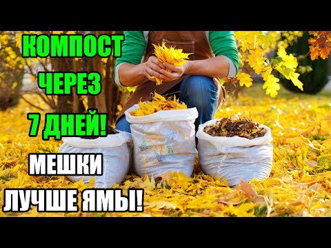 Видео: Быстрый компост в мешках за неделю! Метод, который заменяет яму и даёт суперплодородную почву!