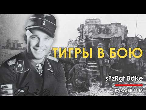 Видео: Танки Тигр в атаке. 1944, Корсунь. // Martin Newman