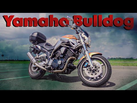 Видео: Почему Yamaha Bulldog - почти идеальный мотоцикл для КАЖДОГО?