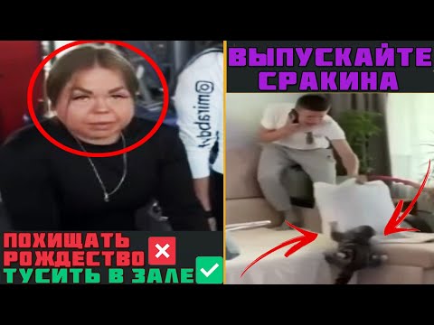 Видео: 🤣Лютые КОММЕНТАРИИ! Подборка ПРИКОЛОВ, когда КОММЕНЫ СМЕШНЕЕ ВИДЕО. Зачем ДЕНЬ ЛИЦА пропускать?