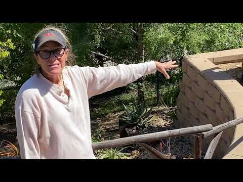 Видео: Ежегодное обслуживание суккулентов в BayHo!