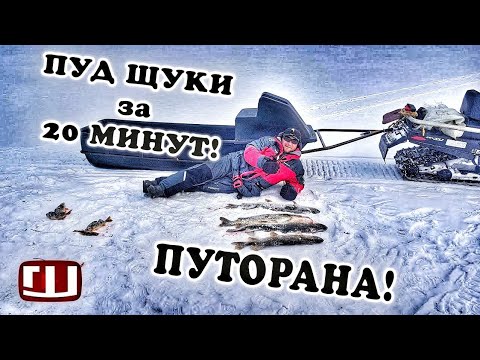 Видео: Без ВЕЗДЕХОДА! НА ПУТОРАНА! ПУД ЩУКИ ЗА 20 МИНУТ!