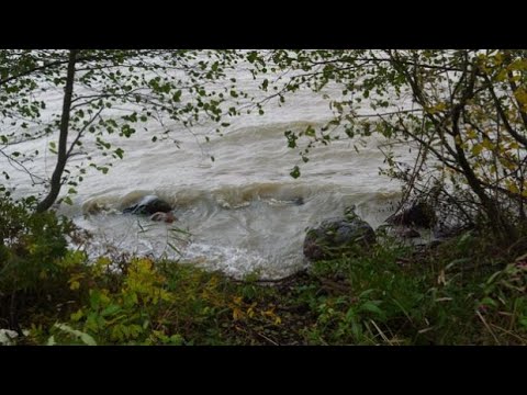Видео: Мартышкино, морской берег, кирха и орган 12 октября 2025 года.
