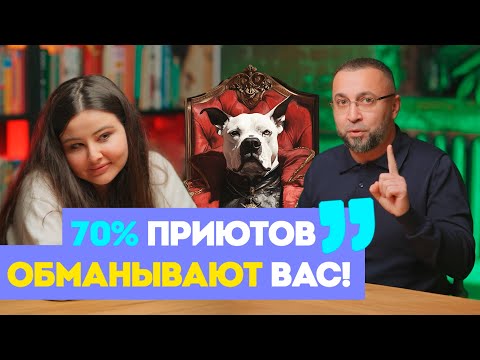Видео: Спасение животных и ответственность за них. Проблемы приютов и обман.