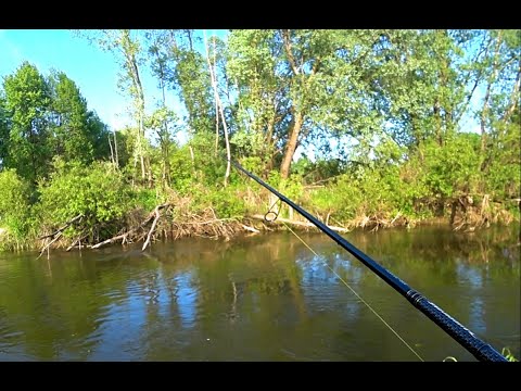 Видео: СПИННИНГ с берега 2020! Судак на ДЖИГ! Рыбалка на спиннинг!