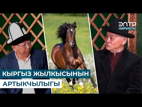 Видео: КЫРГЫЗ ЖЫЛКЫСЫНЫН АРТЫКЧЫЛЫГЫ // МУРАС САБАТЫ