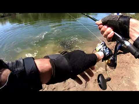 Видео: Трофейная рыбалка на джиг на реке Нура, Карагандинская область, Казахстан