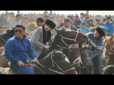 Видео: Көкпар Әбдіжаппар Әлқожа 22.02.2022жыл