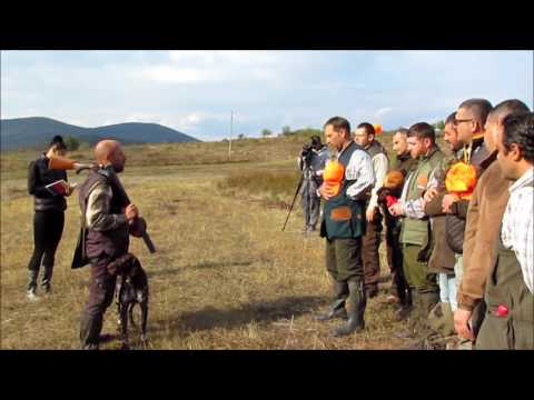 Видео: Финален турнир "Свети Хуберт" за купата на НЛРС - Ст.Загора 22.09.16