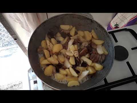 Видео: ЖАРКОЕ С ЛЕСНЫМИ ГРИБАМИ