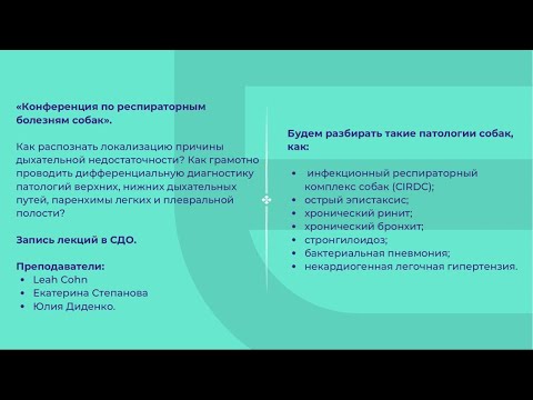 Видео: Диденко Юлия -  Клинический случай хронического ринита у собаки