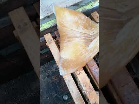 Видео: Бал араның қысқы қорегі