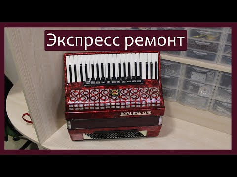 Видео: Трудовые будни / Ремонт Аккордеона "Royal Standard 4/4" / Экспресс ремонт