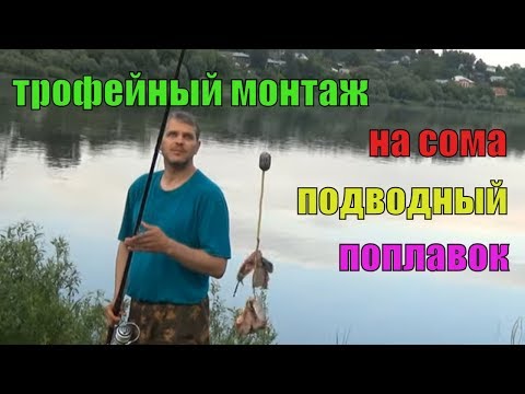 Видео: Трофейная (КОНКРЕТНАЯ) оснастка, МОНТАЖ на сома!
