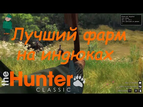 Видео: theHunter Classic. Топовое место фарма индюков.