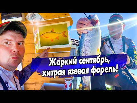 Видео: Хитрая осенняя Форель / Жаркий сентябрь