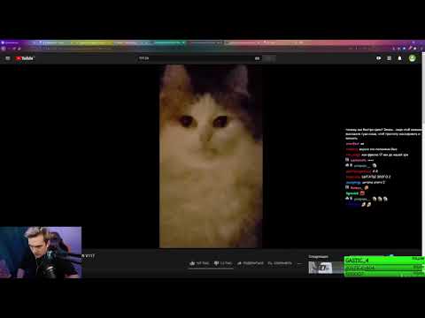 Видео: БРАТИШКИН СМОТРИТ - UNUSUAL MEMES COMPILATION V117