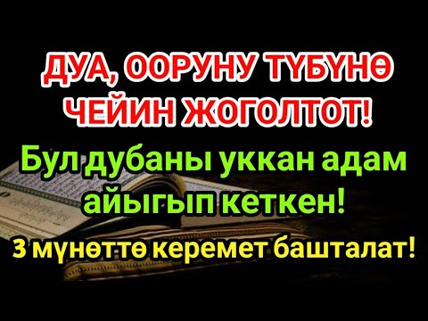Видео: Күчтүү Пайгамбардын дубасы – оорулар дароо жок болот! Миңдеген адамдар айыгышкан!