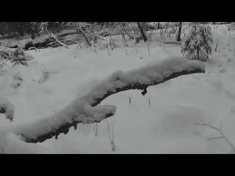 Видео: Рождественский выход 07,01,2021 Трансивер Mini SW-2017