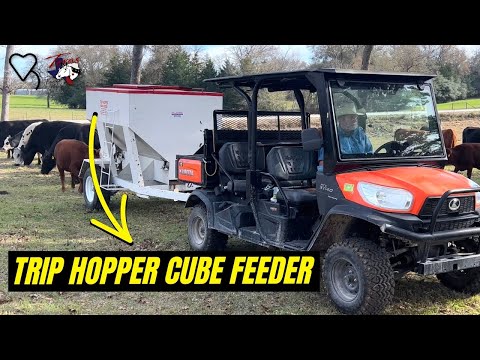 Видео: Кубический кормораздатчик Trip Hopper