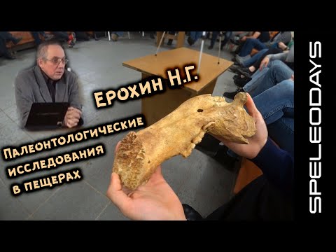 Видео: Палеонтологические исследования в пещерах.